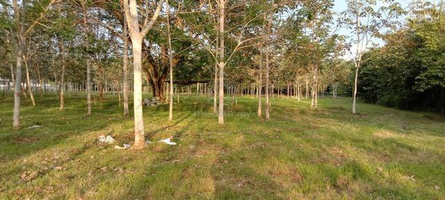 9 ACRE NON BUMI LOT FREEHOLD Tanah Siliau Rantau 5