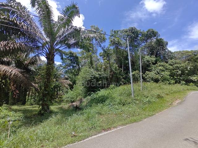 1.1 Acre Land Muara Tuang| Mixed Zone | Reserved Road 1