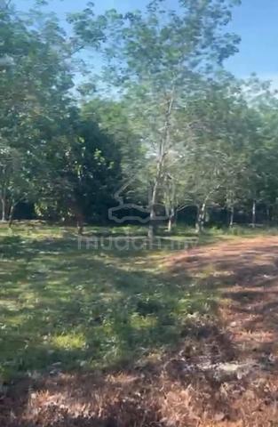 Melaka Alor Gajah Agricultural Freehold Land For Sale 1