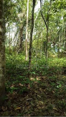 Tanah Kosong Tepi Sungai Mukim Lenggong 4