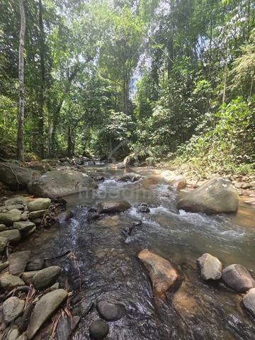Tanah utk resort ada aliran sungai yg cantik 3.5 acre 1