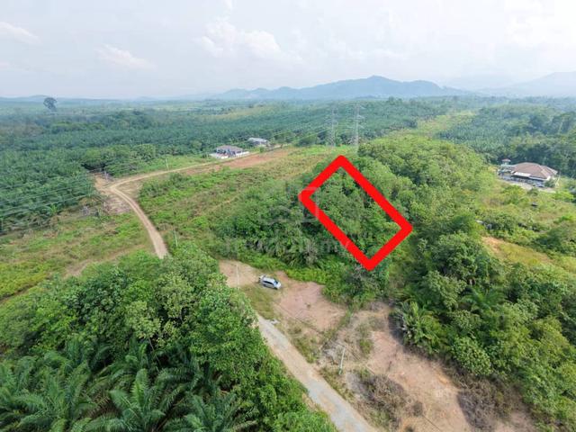 untuk investment 1