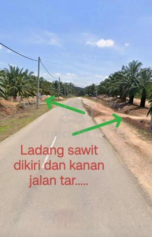 Tawar, Kedah Argriculture Land For Sale (Beside main road) 1