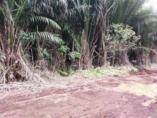 Sijangkang Flat Land Telok Panglima Garang, 📌2.04 Acres 3