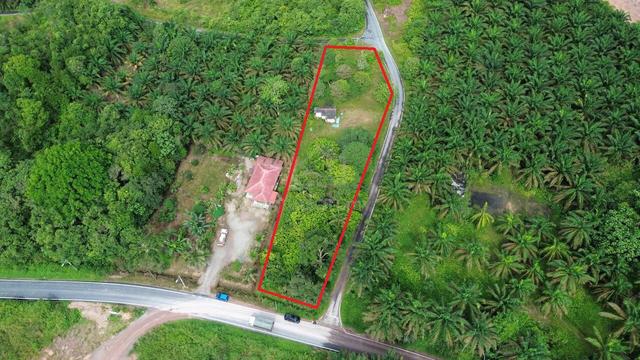 TANAH DUSUN : KG DESA HARAPAN BUKIT BATU KULAI / SEDENAK - 0.6 ekar 4