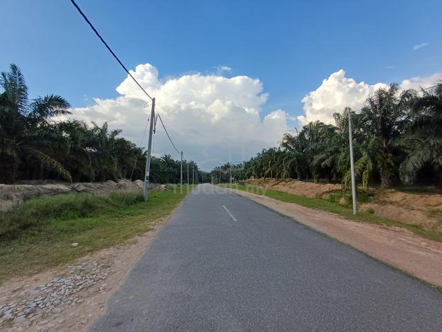 Oil Palm Land Facing Main Road 181 Acres in Baling, Kedah For Sale 1