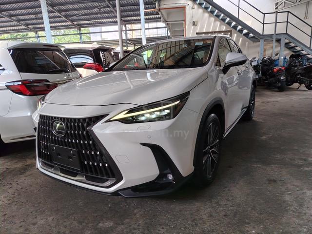 2023 Lexus NX 250 2.5 VERSION L 360 CAMERA Grade5A - 2