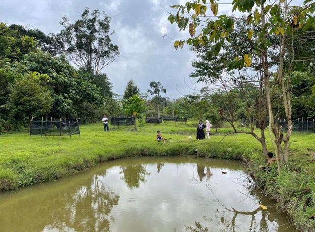 [BUKIT BESI] 1.63 Ekar Dusun Durian, Kolam Ikan, Tol Bukit Besi 6KM 1