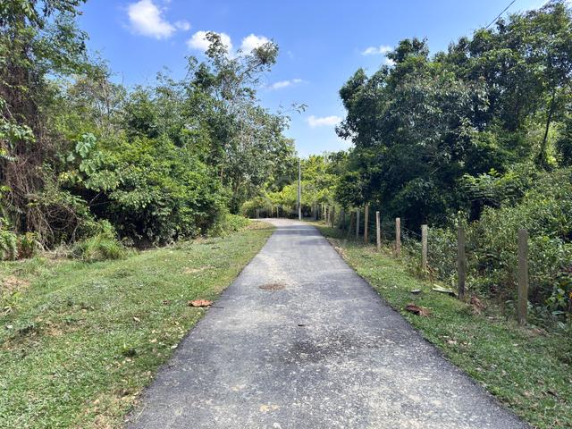 Freehold Agriculture Land For Sale At Kuala Pilah,Negeri Sembilan 1