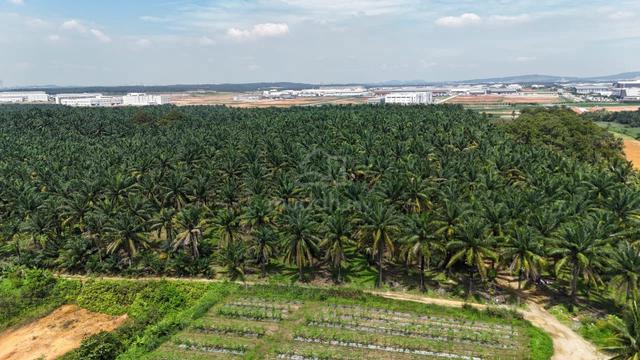 Senai Seelong Land Zoning Indistrial For Sale 1