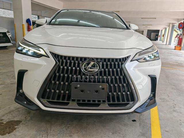 2023 Lexus NX250 2.5L Luxury | Panoramic Roof - 2