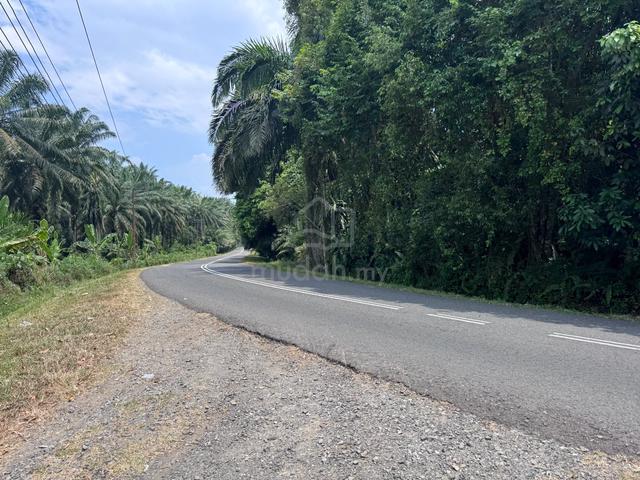 18.8 Acre Flat land for Sale @ Jln Sin Onn Tiku 1