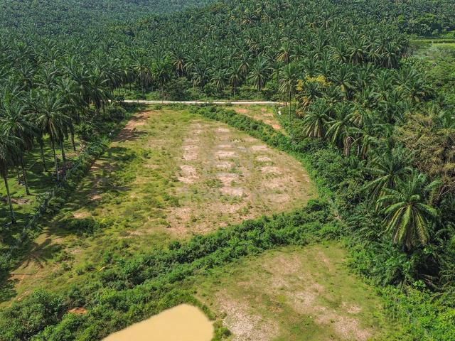 TANAH DUSUN🔥Agricultural Land Rembau Negeri Sembilan 5