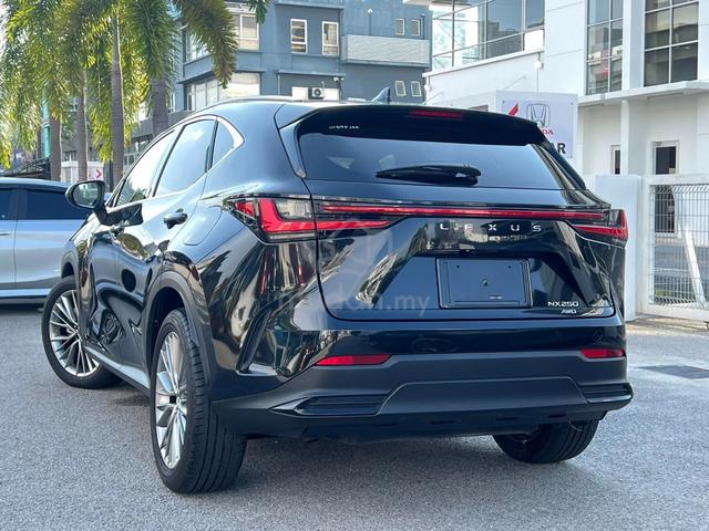 2022 Lexus NX 250 Version-L Panoroof Recon Japan - 2