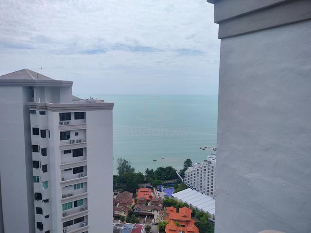 Miami Green 1