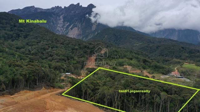 Kundasang Ranau Mt Kinabalu (Nearby Cattle Farm) CL5.0acs 1