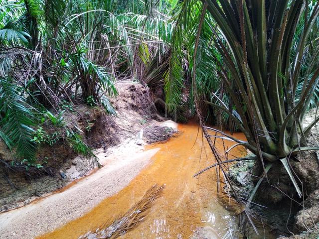 1.2 acres Agricultural Land at Pedas Hilir, Rembau, N. Sembilan 1