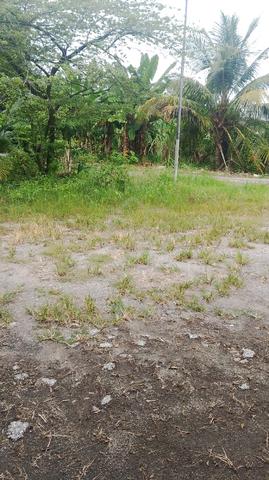 Lot 11770 Jln Ikan Mata Duyung Telok Gong Pelabuhan Klang Selangor 1