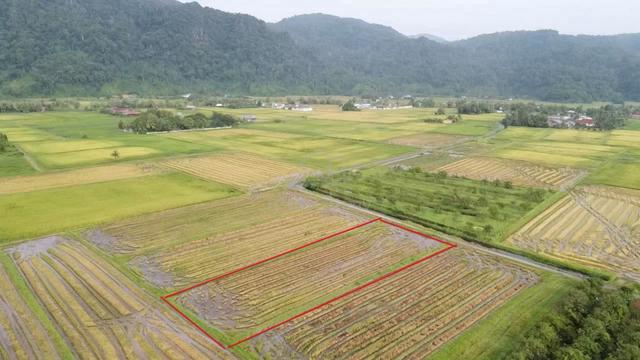 Tanah Bendang Di Wang Ulu, Bintong, Perlis (View Banjaran Nakawan) 1