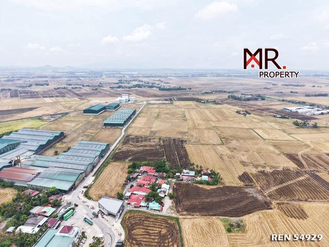 GOOD INVESTMENT Paddy Field Kota Setar FOR SALE 1