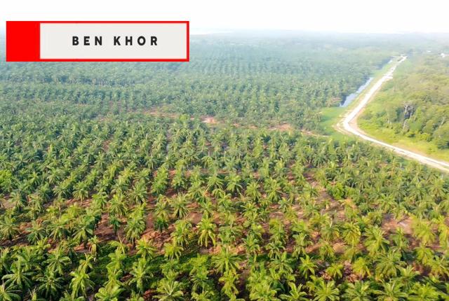 34.99 Acres | Industrial Land | Lowest Price| Batu Kawan | PENANG 1