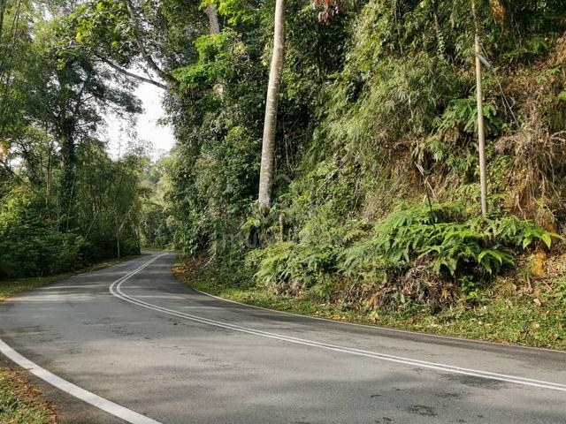 Janda Baik Land 1
