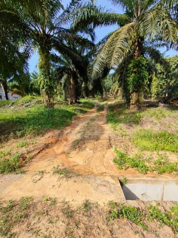 Tanah Pertanian 2 Ekar Bukit Inas Batu Pahat For SALE 1
