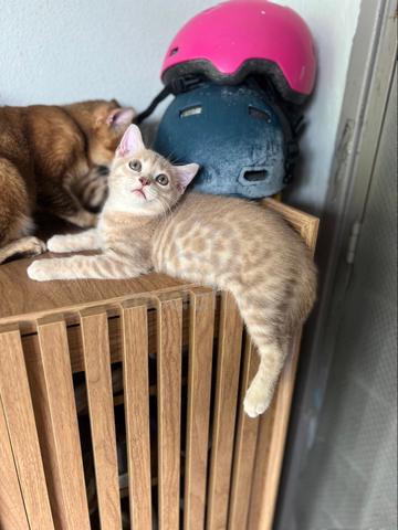 Carousel Image Selected