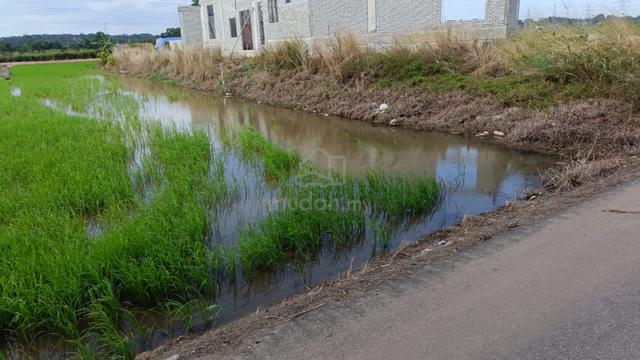Tanah Plot sawah 7,631 kps jual bahagian tepi jalan Kg Paya Luboh 1