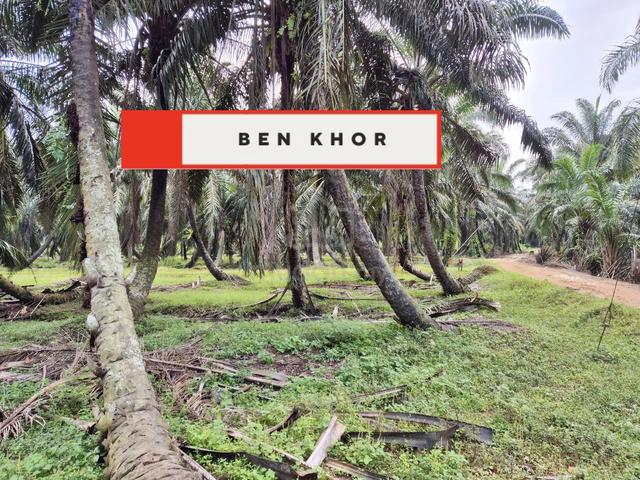 10.293 Acres | 2 Reserved Road | Agricultural Land |Selama | PERAK 4