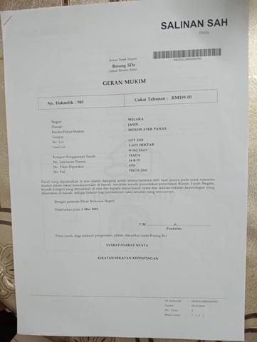 Melaka Jasin Agricultural Freehold Land For Sale 1
