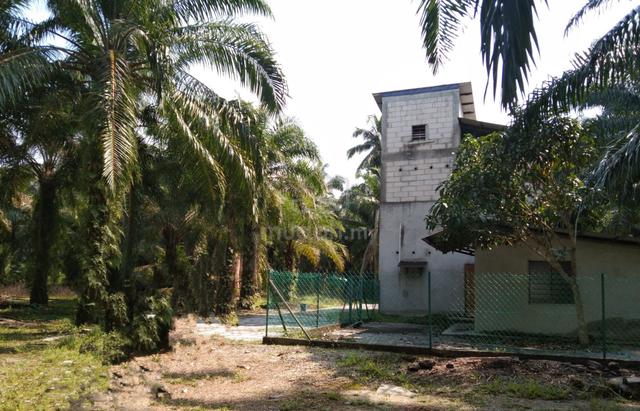 Tanah Untuk Dijual 1