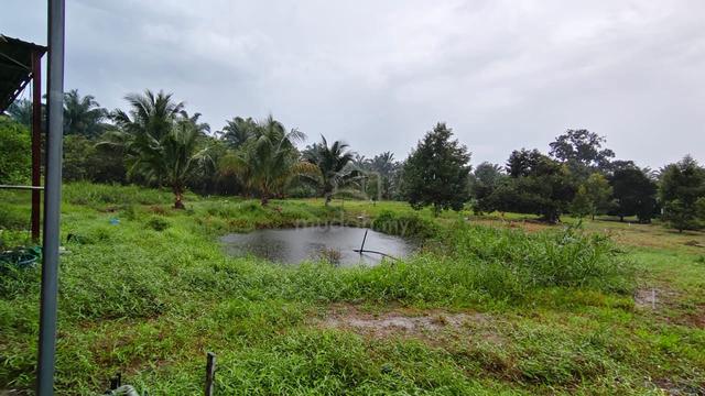 Pontian 7.16 Acres Durian Land Freehold Cheapest Price In Market 1