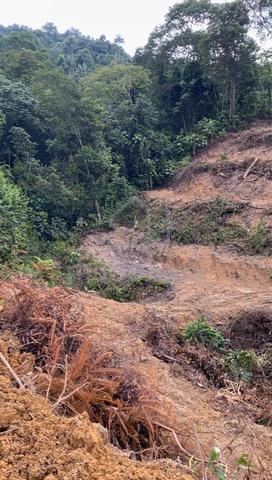 Tanah bukit 3.6 ekar Kg Tanah Merah Pagoh 1