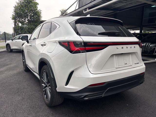 2023 Lexus NX 250 VERSION L 4CAM P ROOF BSM HUD 5A - 5