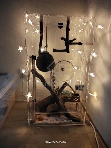 Carousel Image