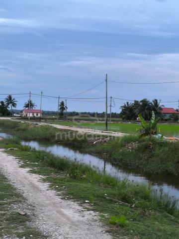 Sawah Padi Tali Air 8 ban 2 Pakat Sekinchan lokasi cantik utk di jual 1