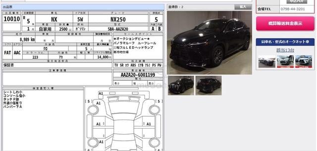 2023 Lexus NX250 2.5 LUXURY Modenlisda Kit Grad 5 - 2