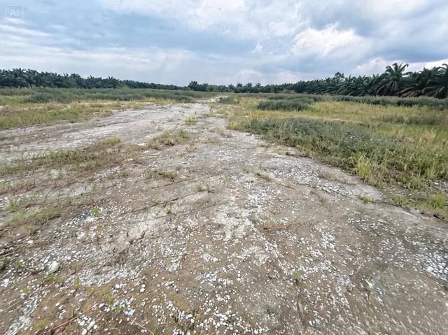 Below Market Agriculture Land 2.396 Acres Telok Gong Port Klang 1
