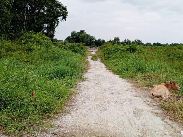 Tanah Pertanian 1.5 Ekar Pulau Indah Port Klang 1