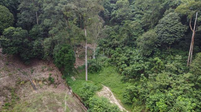 Roadside land elevated for orchard and retirement Penchala TTDI KL 1