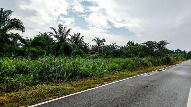 Pontian .Parit Panjang Agricultural Land For Sale 笨珍农业地出售 1