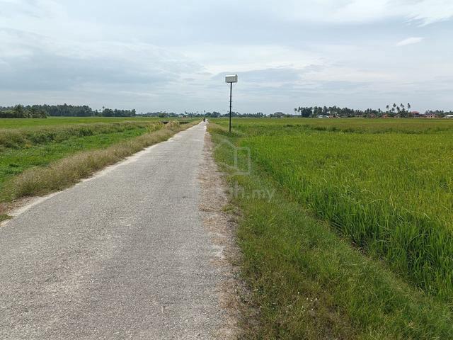 [Penaga] FIRST-GRADE LAND For Sale 1