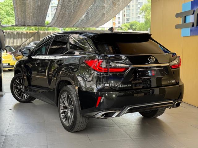 2018/22 Lexus RX300 F SPORT 2.0 RX 300 - 5