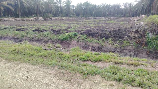 Banting Land for Sale 1