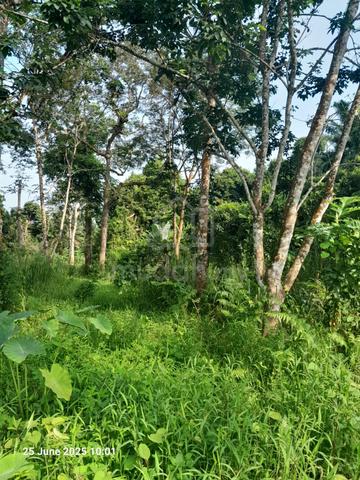 Tanah tepi sungai di Behrang, Perak 1