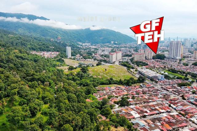 3.1 acre 1st Grade Agricultural Land Durian Farm Paya Terubong Penang 1