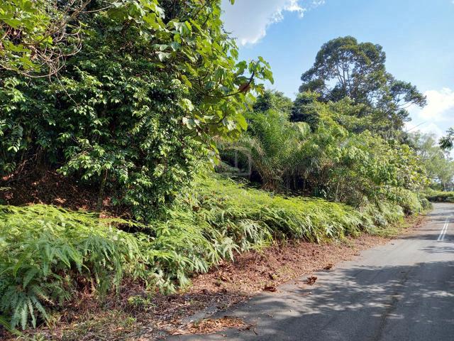 [ 1 ekar, 2 lot ] Lot Bungalow Kayangan Height, Shah Alam untuk Dijual 1