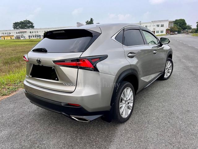 2018 Lexus NX300 2.0 (A) - 4