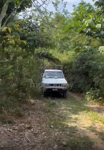 [MURAH, LADANG GETAH] Rembau, Freehold, Rizab Melayu, Tanaman Getah 3